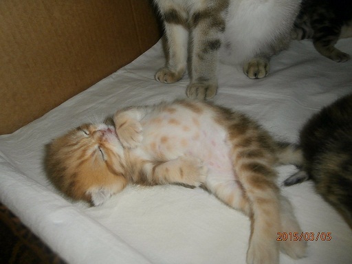 тихий час2.jpg