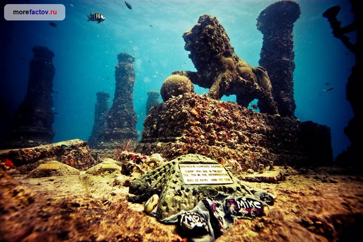 scale_Neptune-Memorial-Reef-off-Key-Biscayne-in-Miami-Florida-memorial-for-cremated-remains.jpg