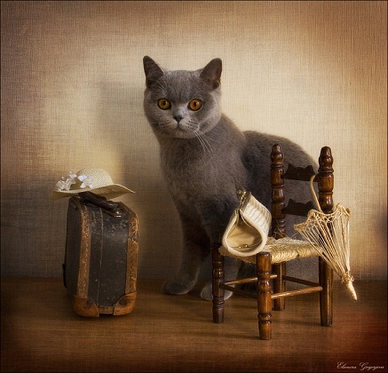 какая девушка)).jpg