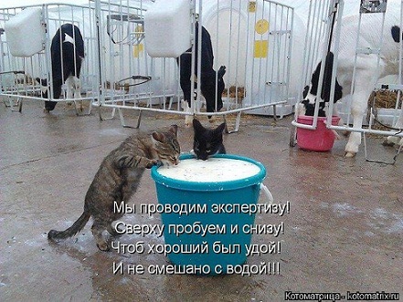 лучшие эксперты.jpg