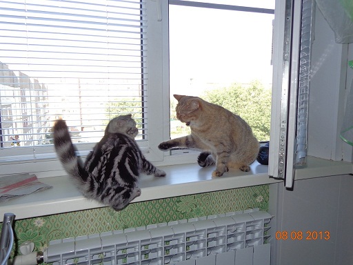 беседа у окна.jpg