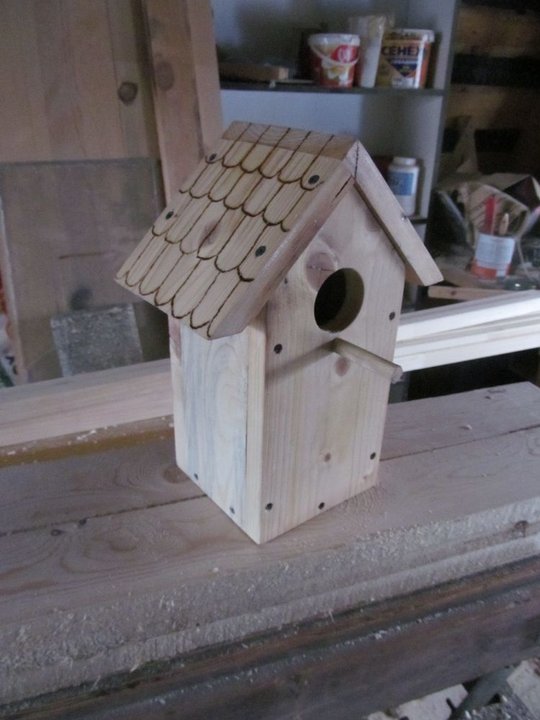 Скворечник.JPG (94.5 КБ) Просмотров: 4889 Скворечник.JPG
