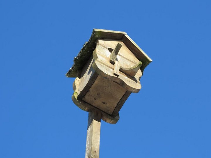 IMG_0100.JPG (51.81 КБ) Просмотров: 5394 IMG_0100.JPG