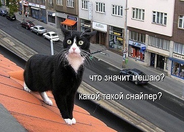 котэ19.jpg