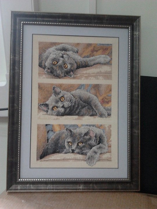 Картина.jpg (272.15 КБ) Просмотров: 5415 Картина.jpg