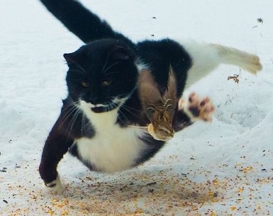 серьёзный и целеустремлённый.jpg