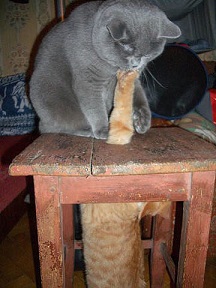 хук снизу.jpg