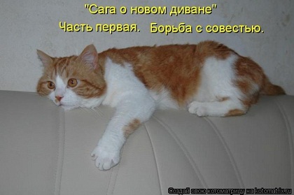 к444.jpg