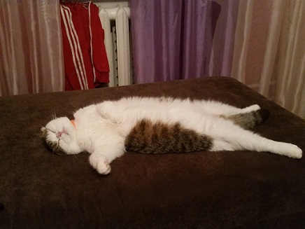 я в выходные.jpg