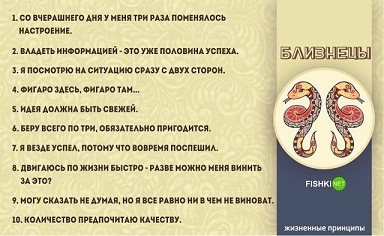 близнецы.jpg