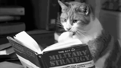 tumblr_miqw4ozenn1s07hqso1_500.gif
