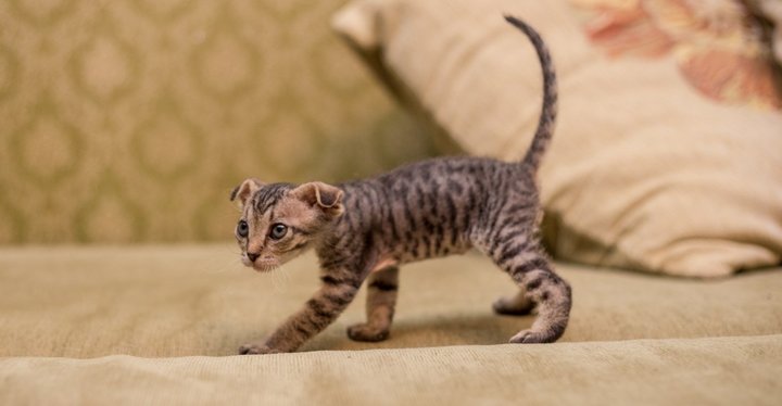 FpJQN2NBlcA.jpg (85.41 КБ) Просмотров: 752 FpJQN2NBlcA.jpg