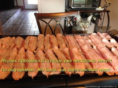 котэ71.jpg