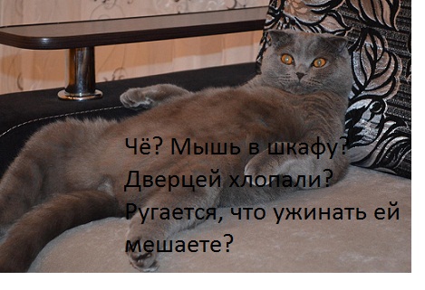 котэ75.jpg