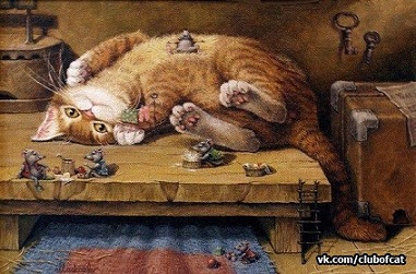 котэ80.jpg