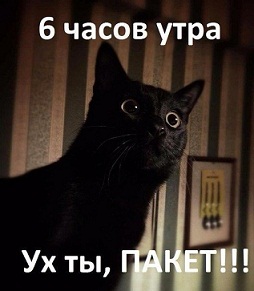 котэ82.jpg