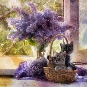 котэ85.jpg