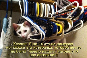 котэ92.jpg