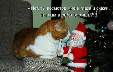 котэ104.jpg