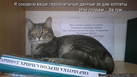 котэ106.jpg