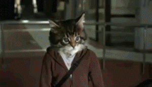 1e70ca34e6dabb88c5114a3e868e1daf.gif