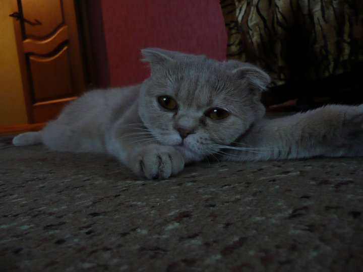 P1010103.jpg