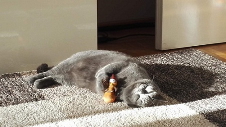 котэ152.jpg