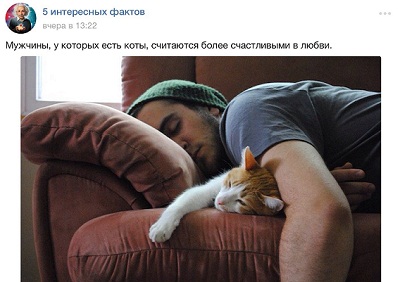 котэ179.jpg