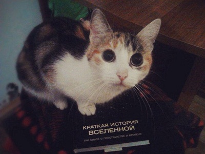 квантовая механика3.jpg