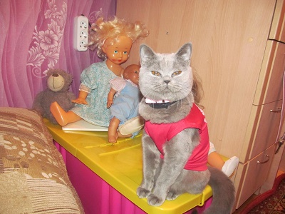 кот8.jpg