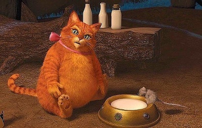 кот11.jpg