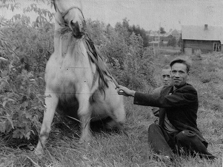 Дед с конем.jpg